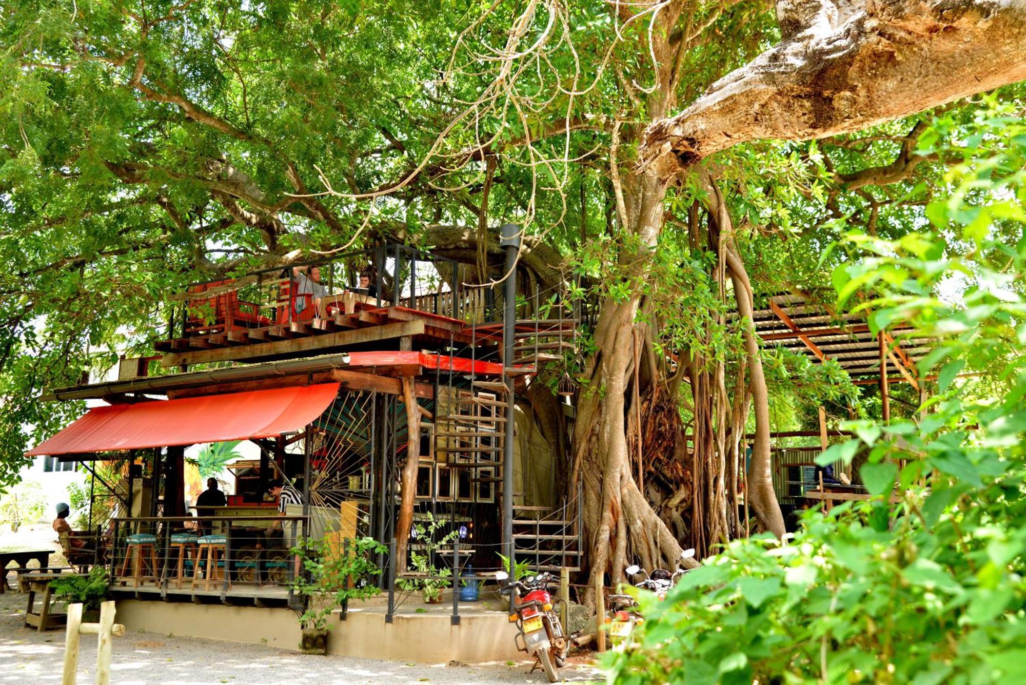 Mnarani Beach Club 基利菲 外观 照片